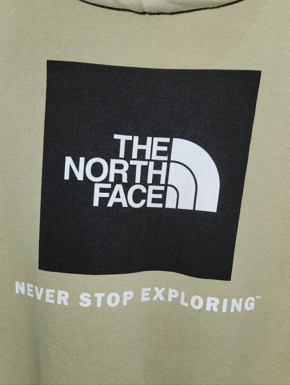 The North Face north face
